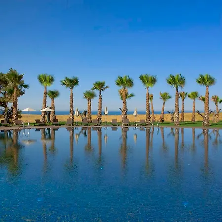 Salgados * 阿尔布费拉